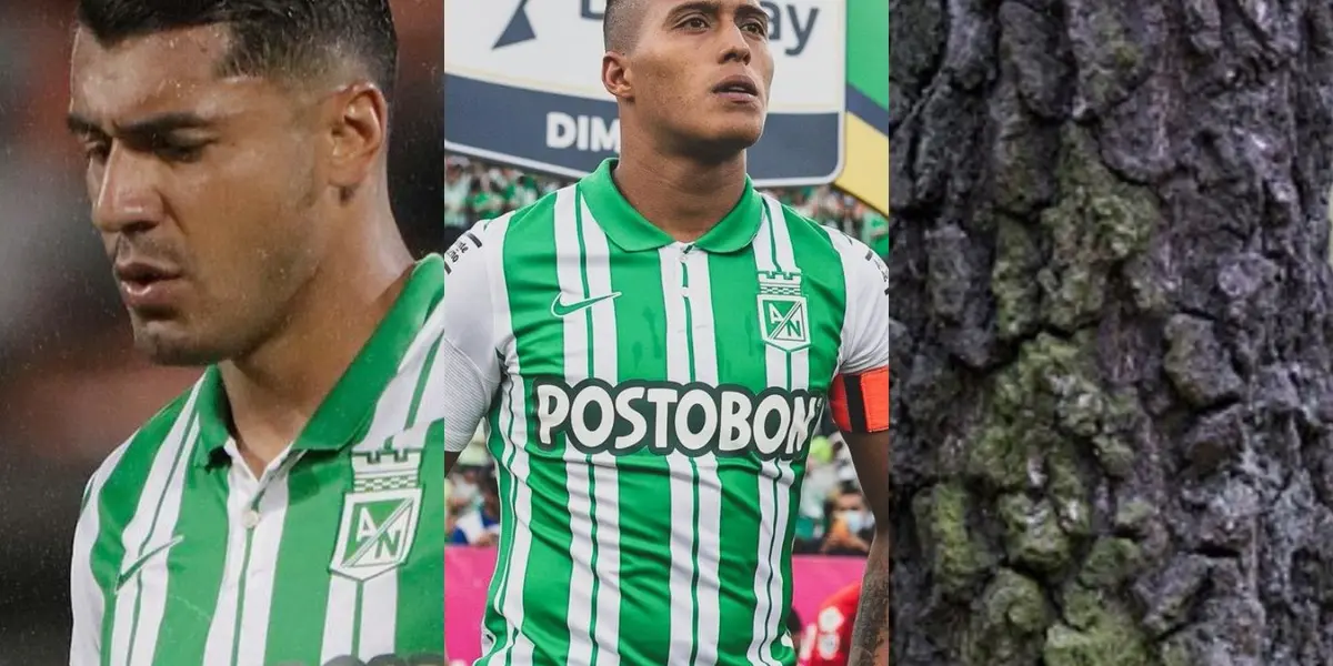 El delantero perdió la oportunidad de darle la clasificación a Atlético Nacional a los octagonales finales de la liga Betplay 