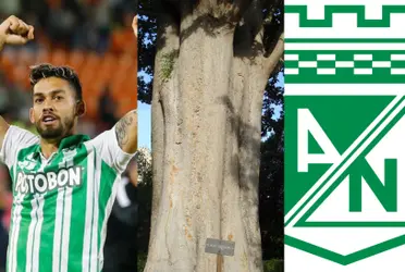 El jugador fue futbolista de Atlético Nacional hasta la temporada 2022 